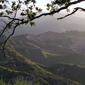 Meet your Posher, Cathy